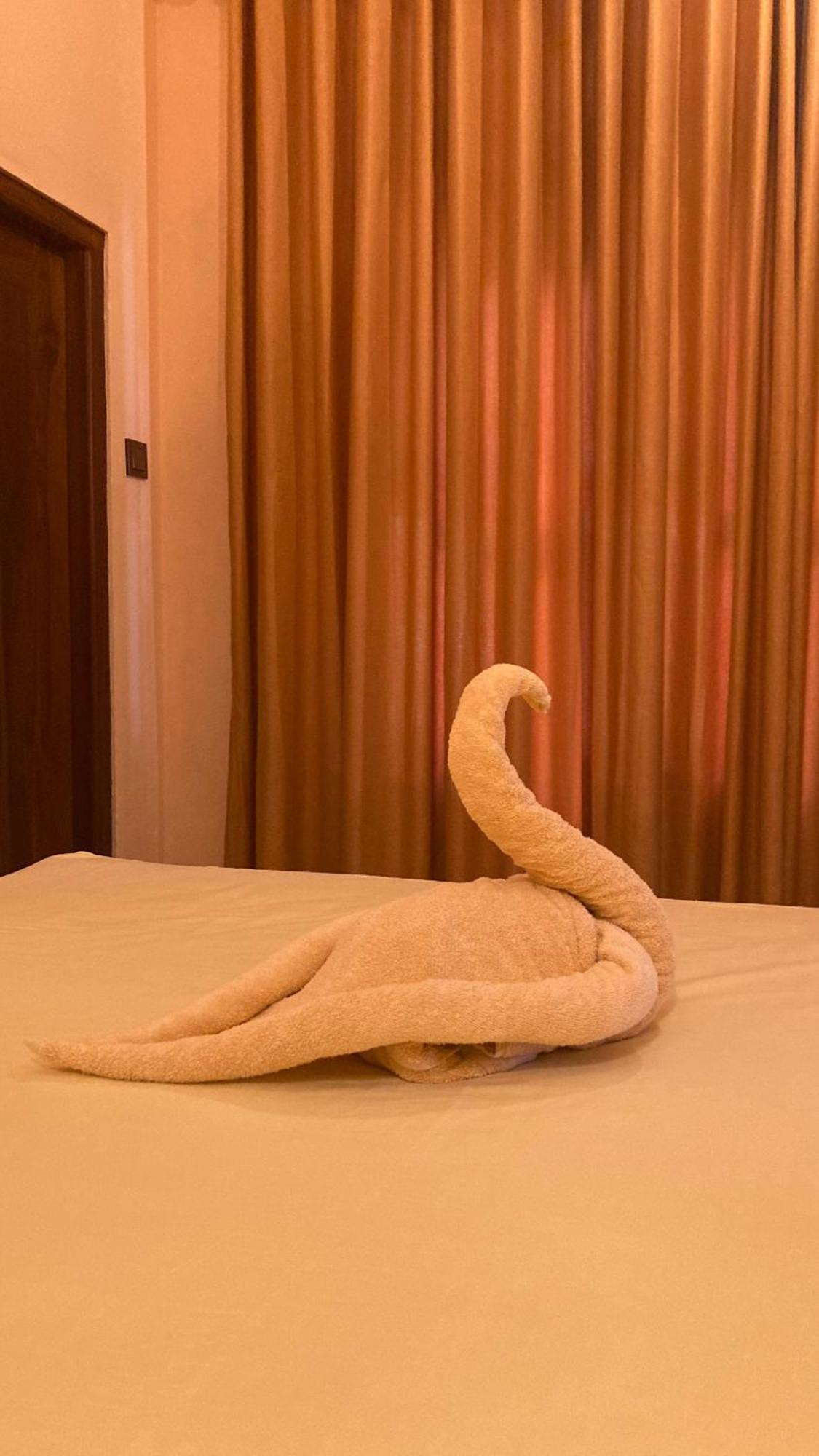 Ayubowan Hiriketiya Daire Dikwella Dış mekan fotoğraf
